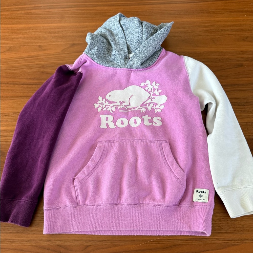 Roots Kids Hoodie with Purple and Gray Colorblock